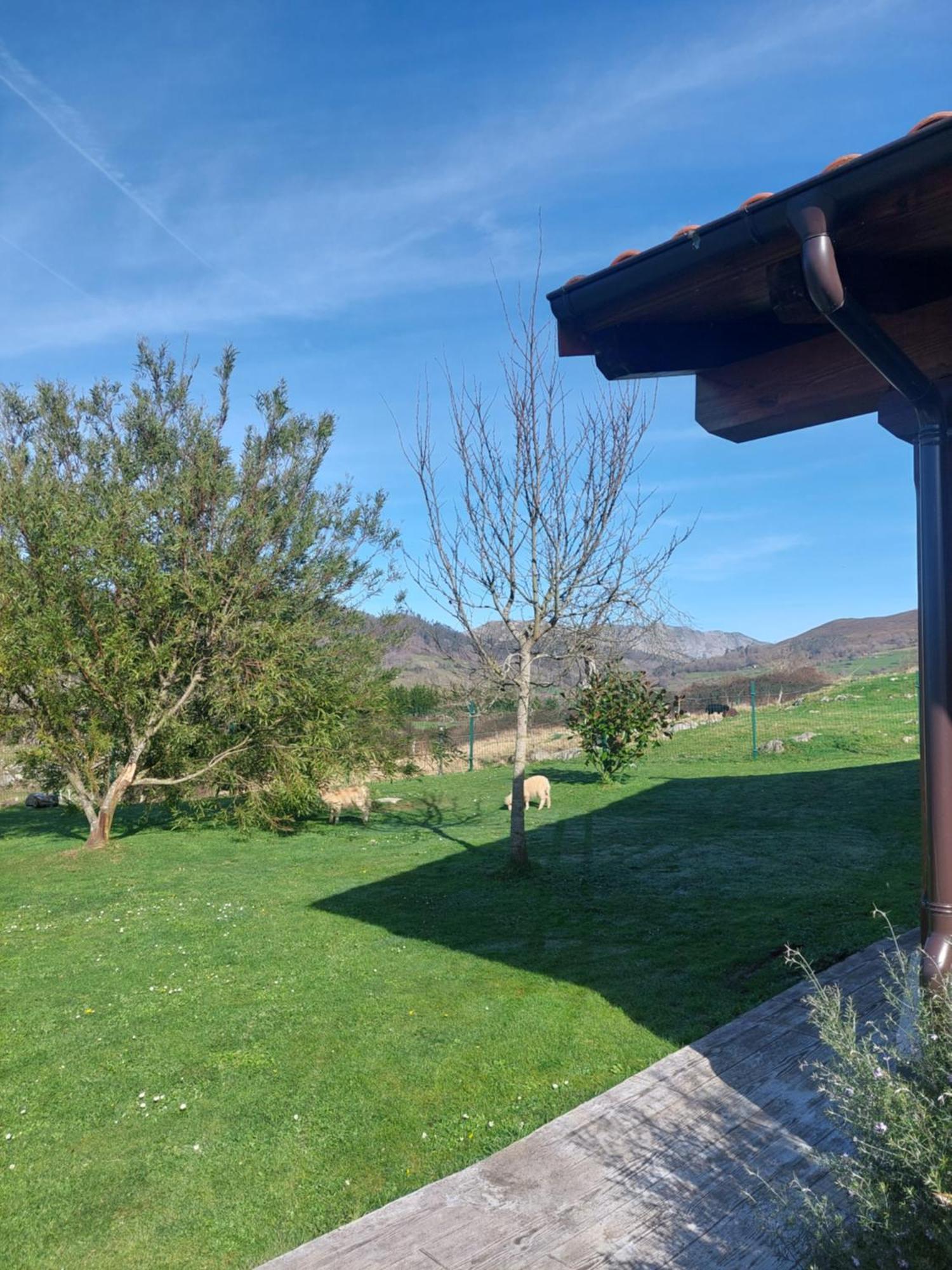 Fuente El Gueeyu Apartment Cangas de Onis Bagian luar foto